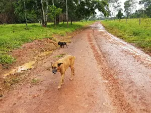 Fazenda do Senhor Jacó Sá (Geoglifos)
