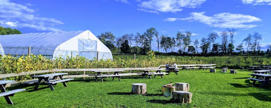 The Chatham Berry Farm LLC