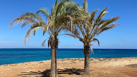 Protaras
