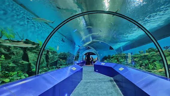 Aquatic Gallery - Science City