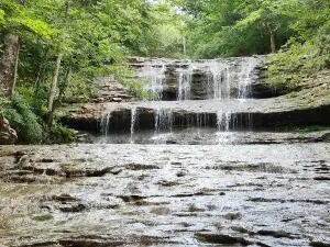 Fallsville Wildlife Area