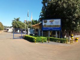 Brejeiro - Uberaba (Sementes)