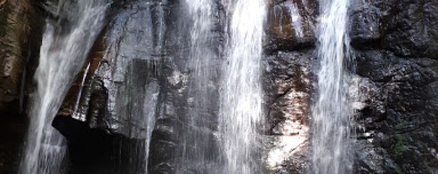 Parque Estadual Serra Negra da Mantiqueira