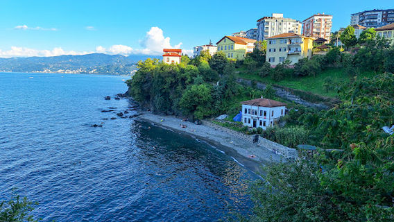 Arakli