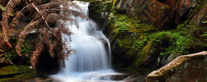 Cold Brook Falls