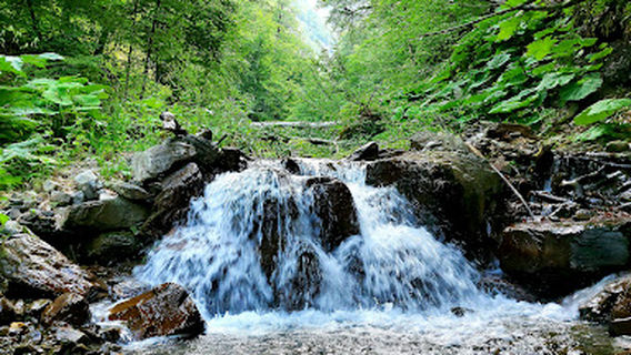 İsmayıllı