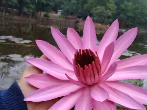 Wisata Banyu Asri Nyukang Harjo