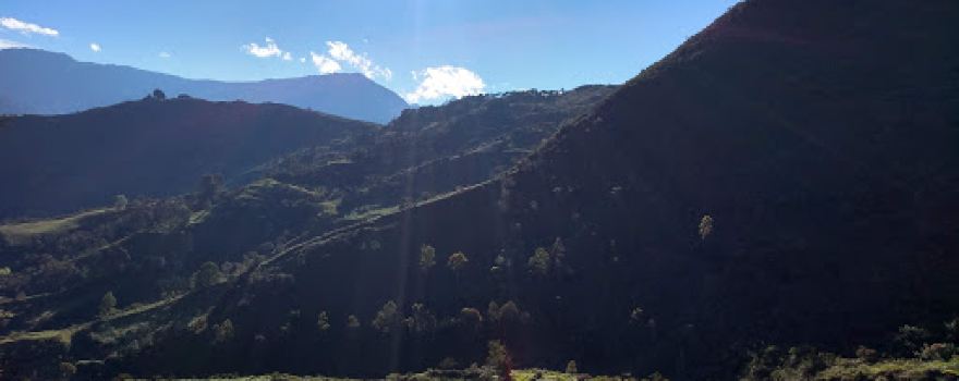 Finca Estaqueca alto