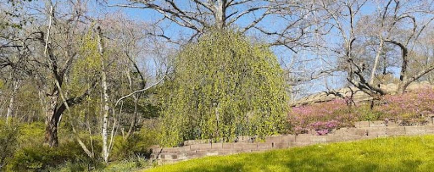 Mt Airy Forest Park