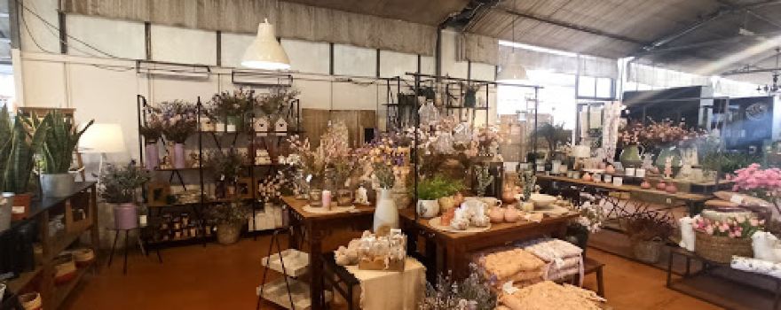 Batlle Garden Center. Centre de Jardineria