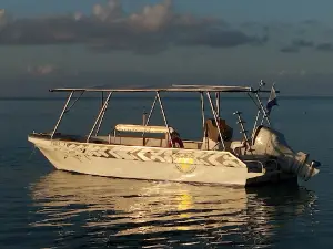 COCO DIVE TIKEHAU