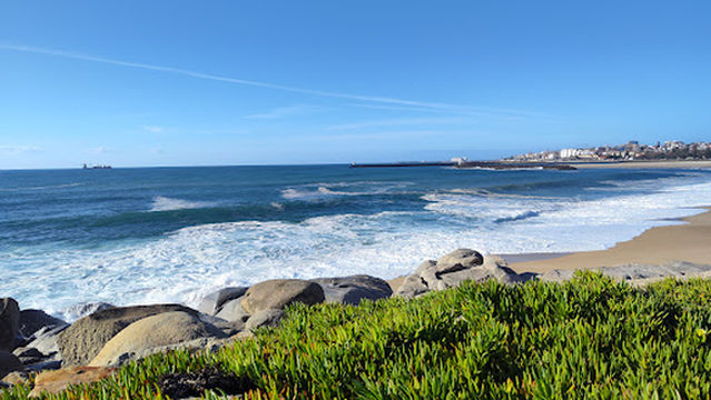 Nature Reserve Douro Estuary Site