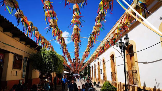 Andador De Guadalupe