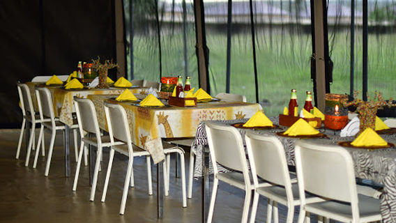 serengeti wildebeest camp