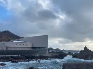 男鹿水族館GAO