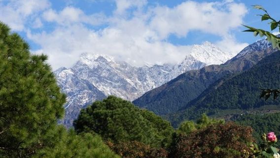 Palampur Tea Gardens