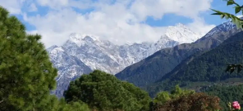 Hotels in Palampur