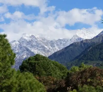 Palampur
