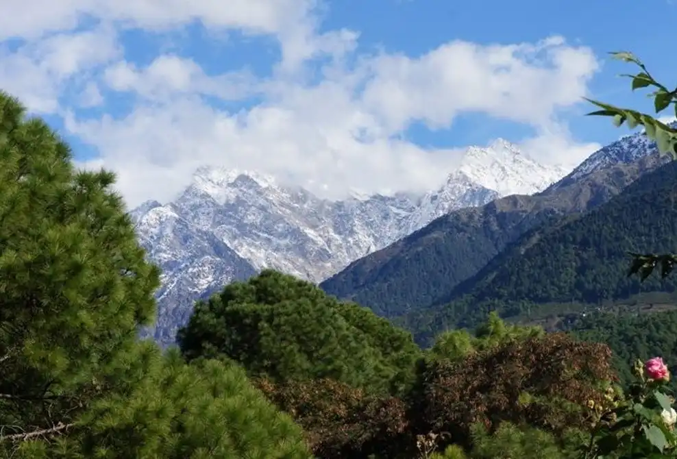 Hotels near Palampur Tea Gardens
