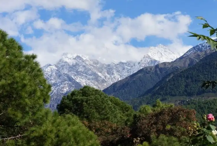 Palampur