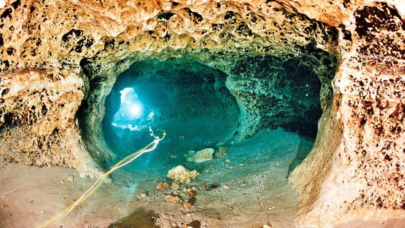 Ginnie Springs Outdoors, LLC