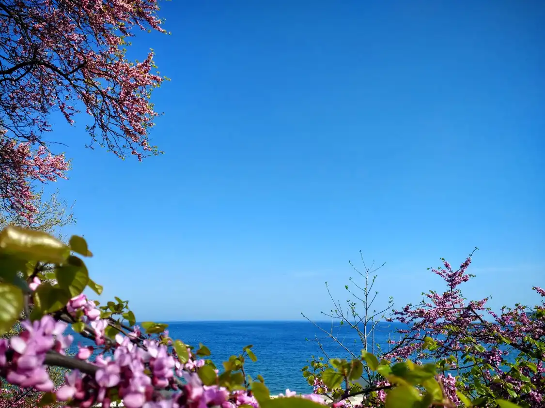 Hotels near Sea Garden
