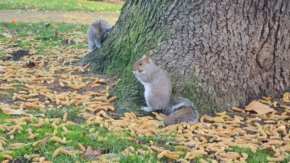 3_West Park