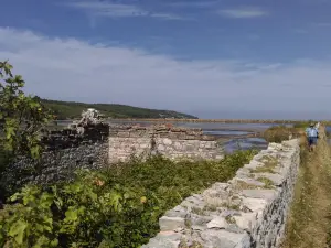 Sečoveljske soline
