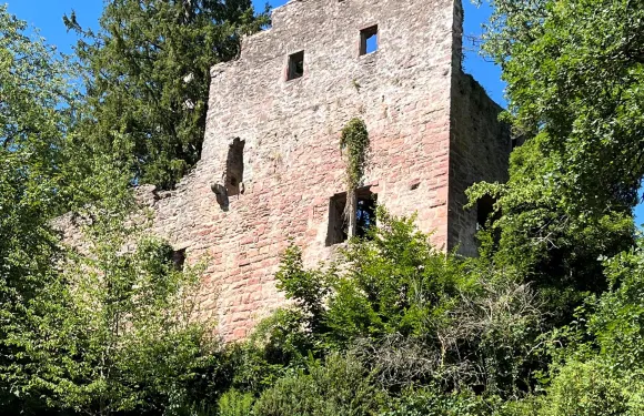 巴特泰納赫－察弗爾施泰因