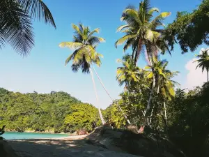 Englishmans Bay