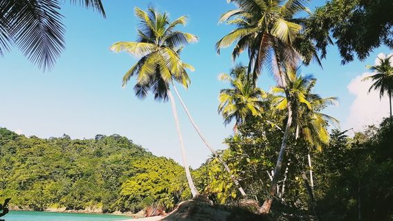 Tobago