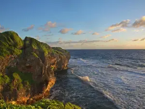 Tautu Reef