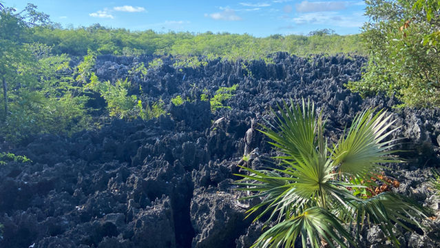 Native Way Watersports
