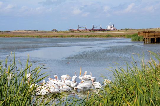 Leonabelle Turnbull Birding Center