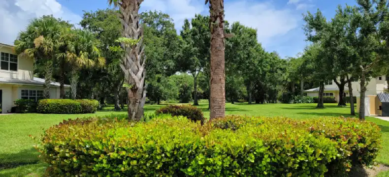 Sleep Inn properties in St. Lucie County