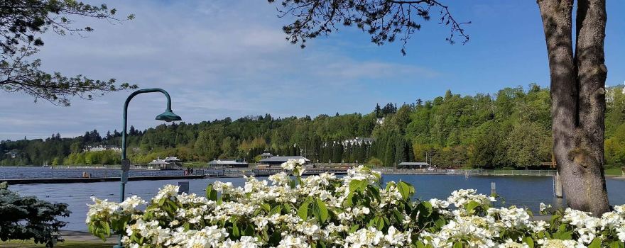 Gene Coulon Memorial Beach Park