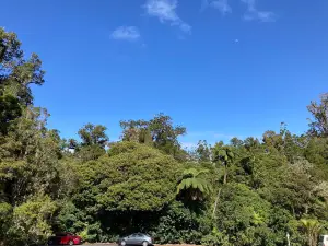 Tane Mahuta