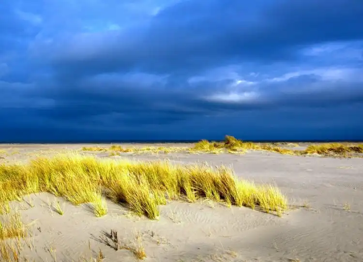 Hotels in Schiermonnikoog