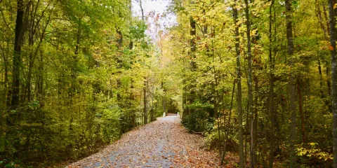 Midlothian Mines Park