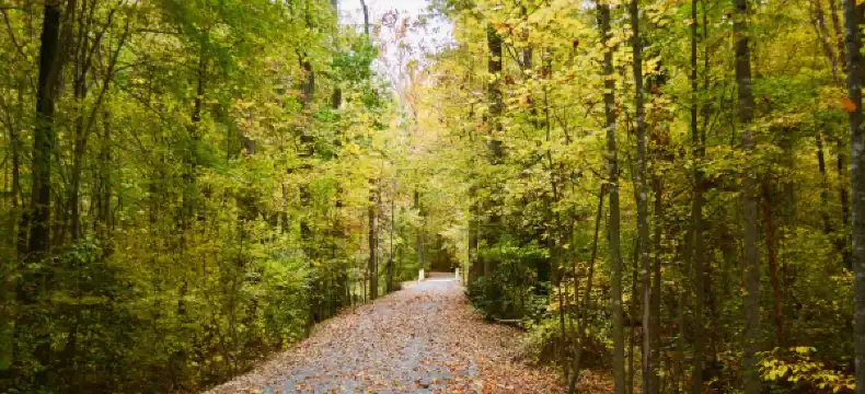 Sleep Inn properties in Chesterfield County
