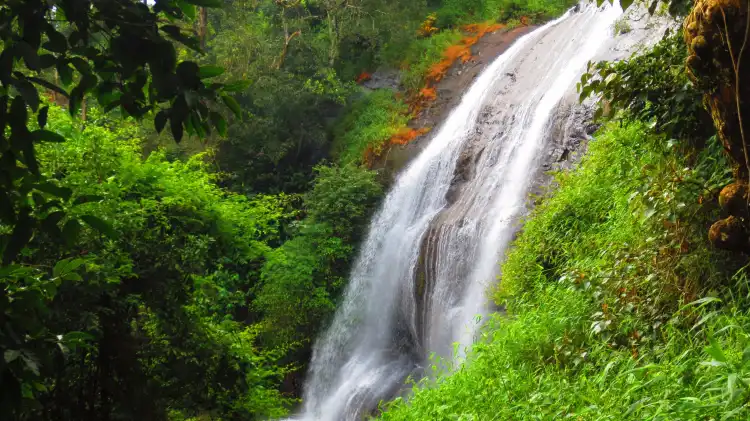 Kodagu