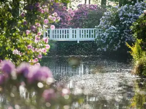 Schlosspark Lutetsburg