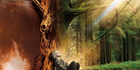 Broceliande, La Porte Des Secrets