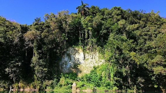 Portland Experience-Rio Grande Rafting Jamaica