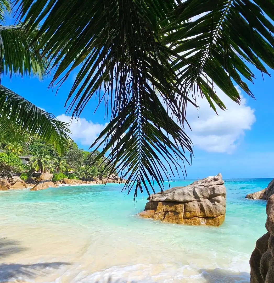 Hotels near Anse Patates Beach