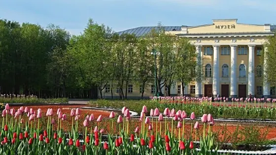 Fine Arts Museum