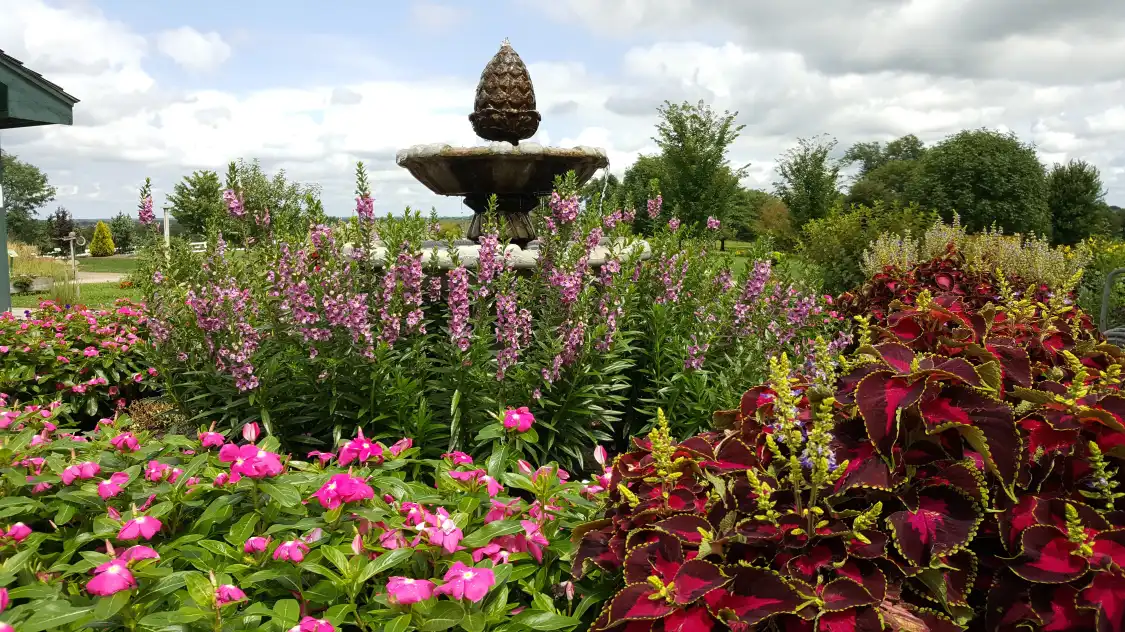 Hotels near Cedar Valley Arboretum & Botanic Gardens