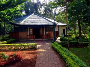 Bois Sainte Anastasie, Yaoundé