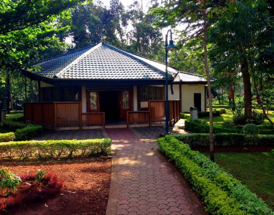 雅温得 自由行套票