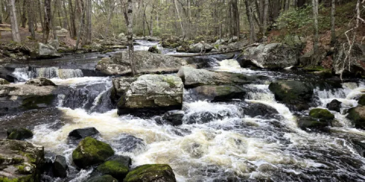 Twin Bridge Park and Kids Kove